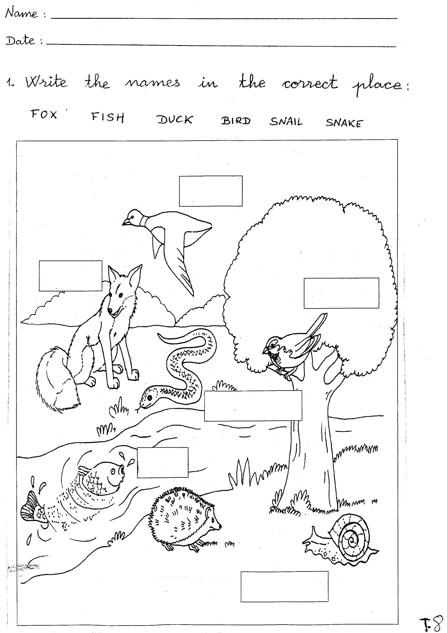 excellent free printableish worksheets for grade picture ideas animals worksheet as children learning exercise