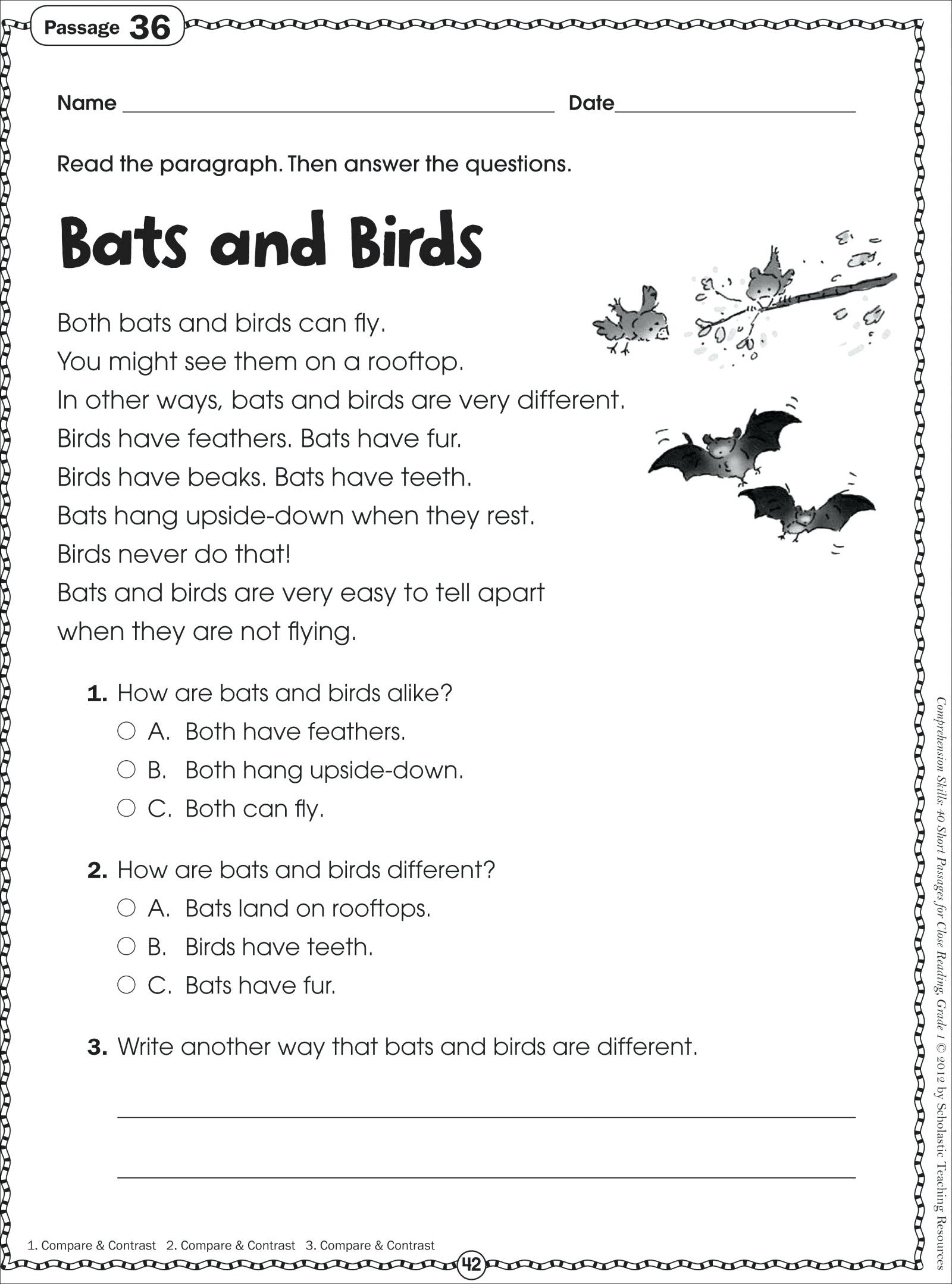 Forest Animals Worksheets