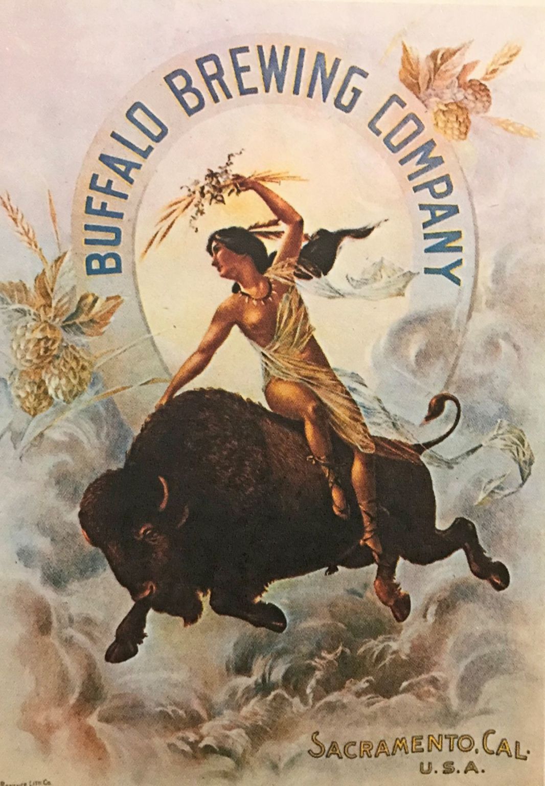 6 Funny Farm Animals Art AMP