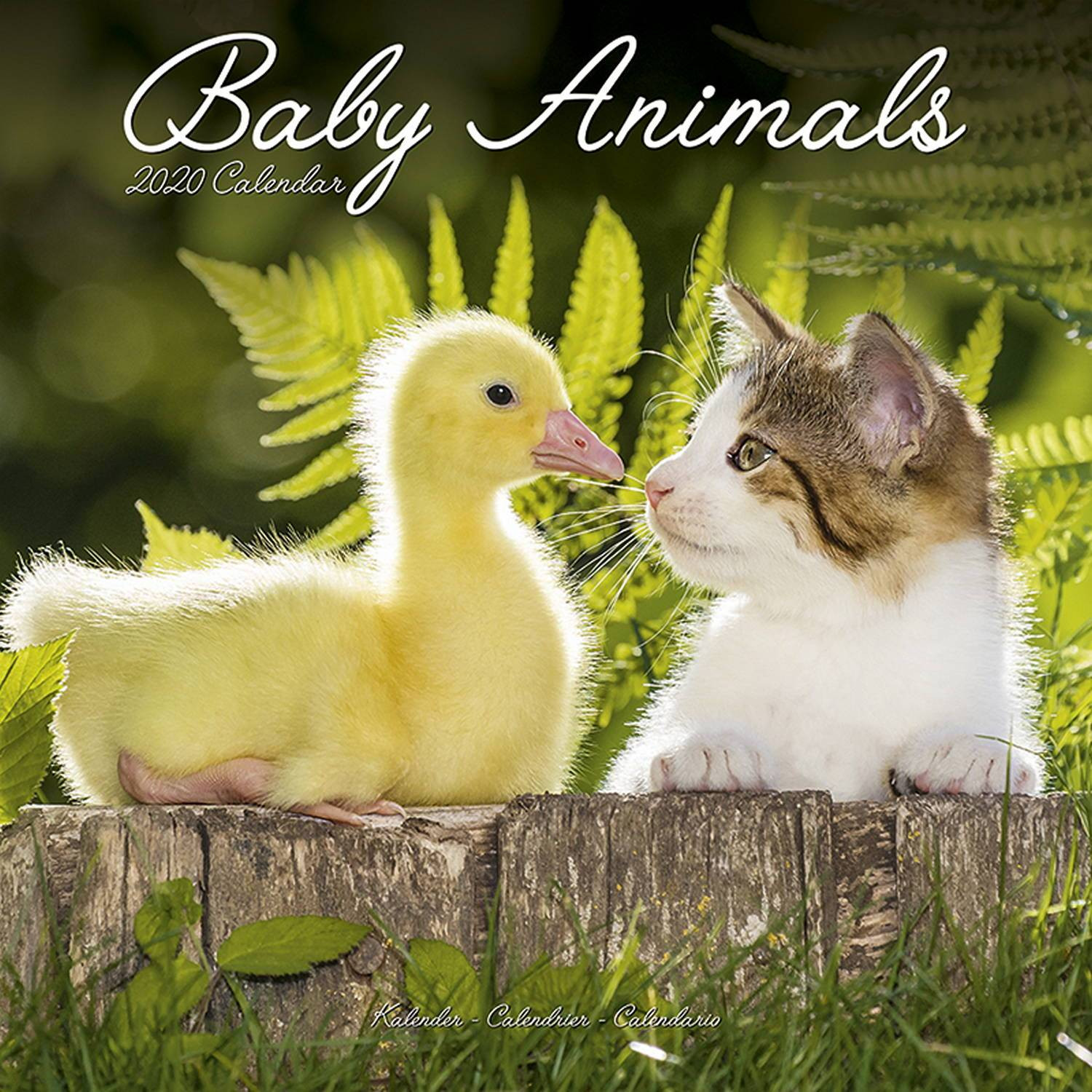 Images Of Farm Animals