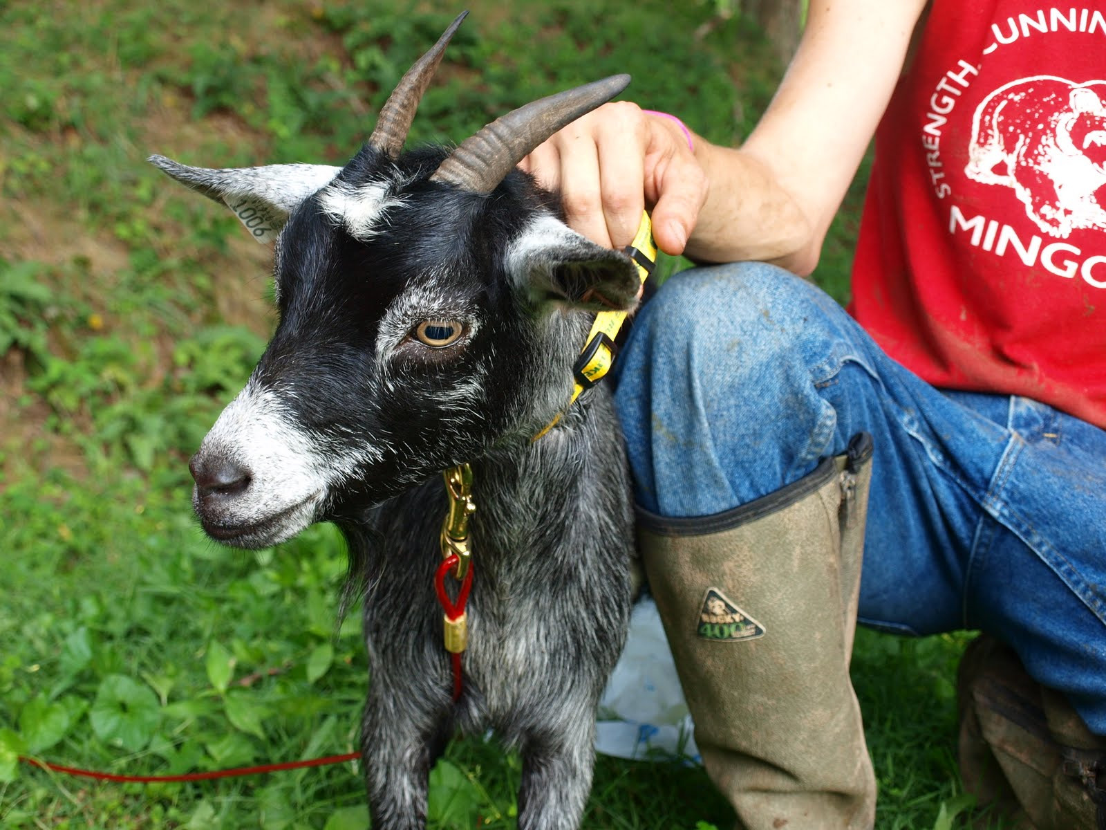 Names for Goats Farm Animals