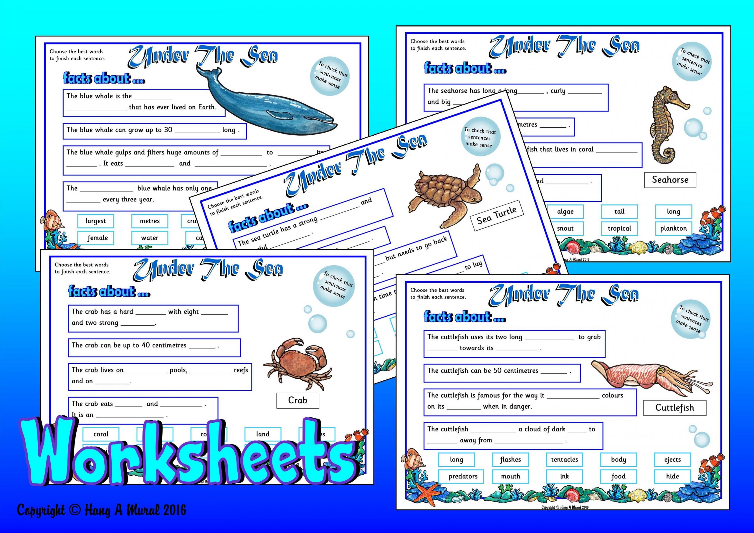 Ocean Animals Worksheets