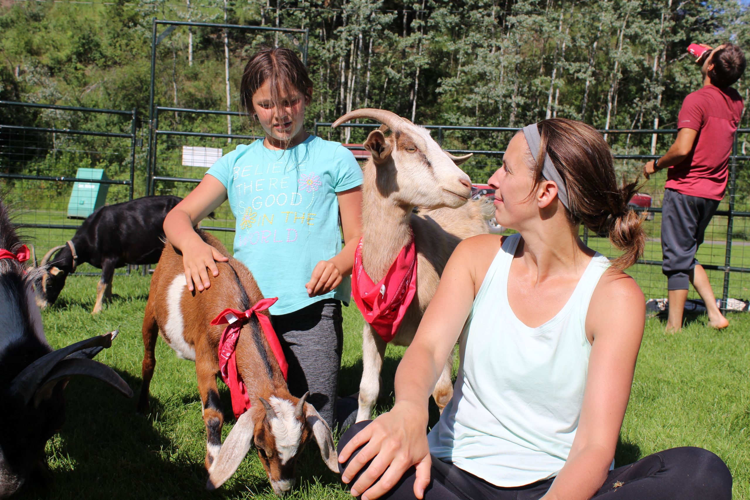 Paintings Of Goats Farm Animals