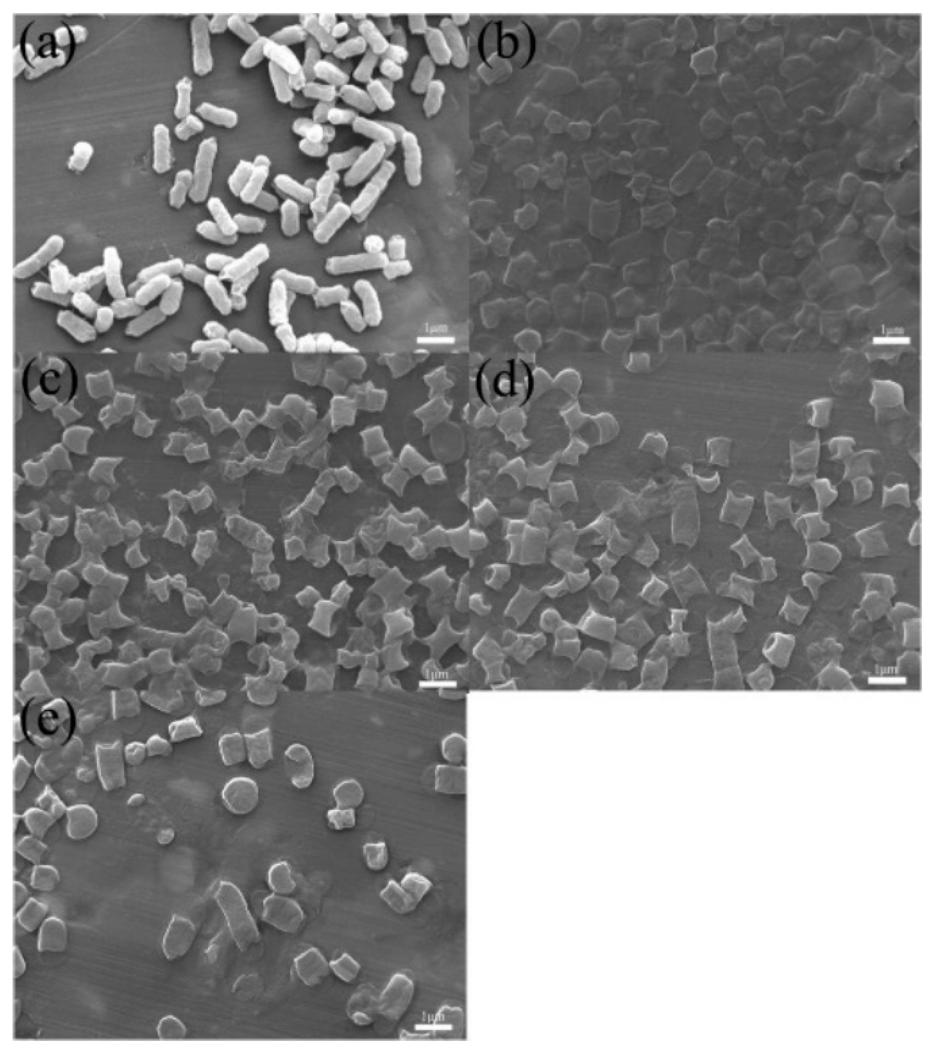 nanomaterials 10 g009