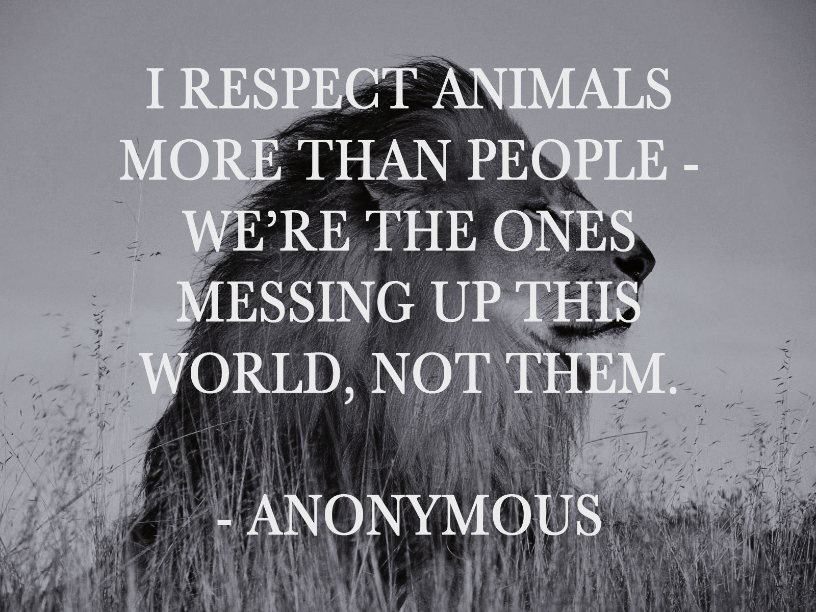 Quotes About Farm Animals
