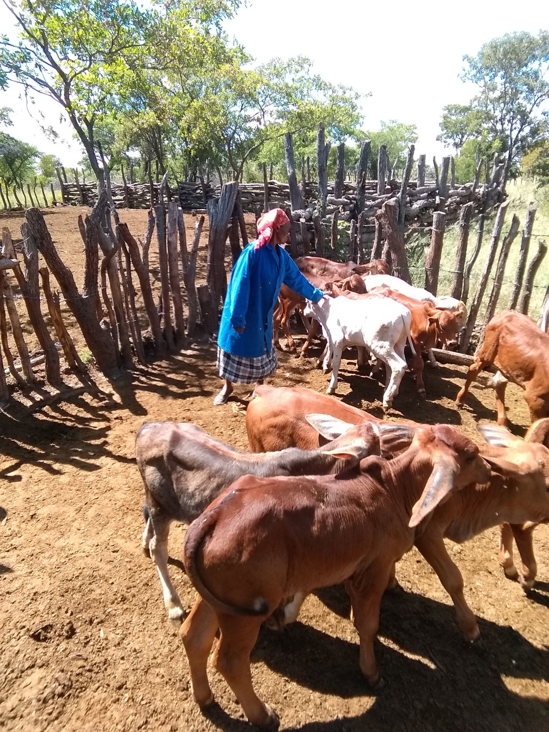 Raising Farm Animals together