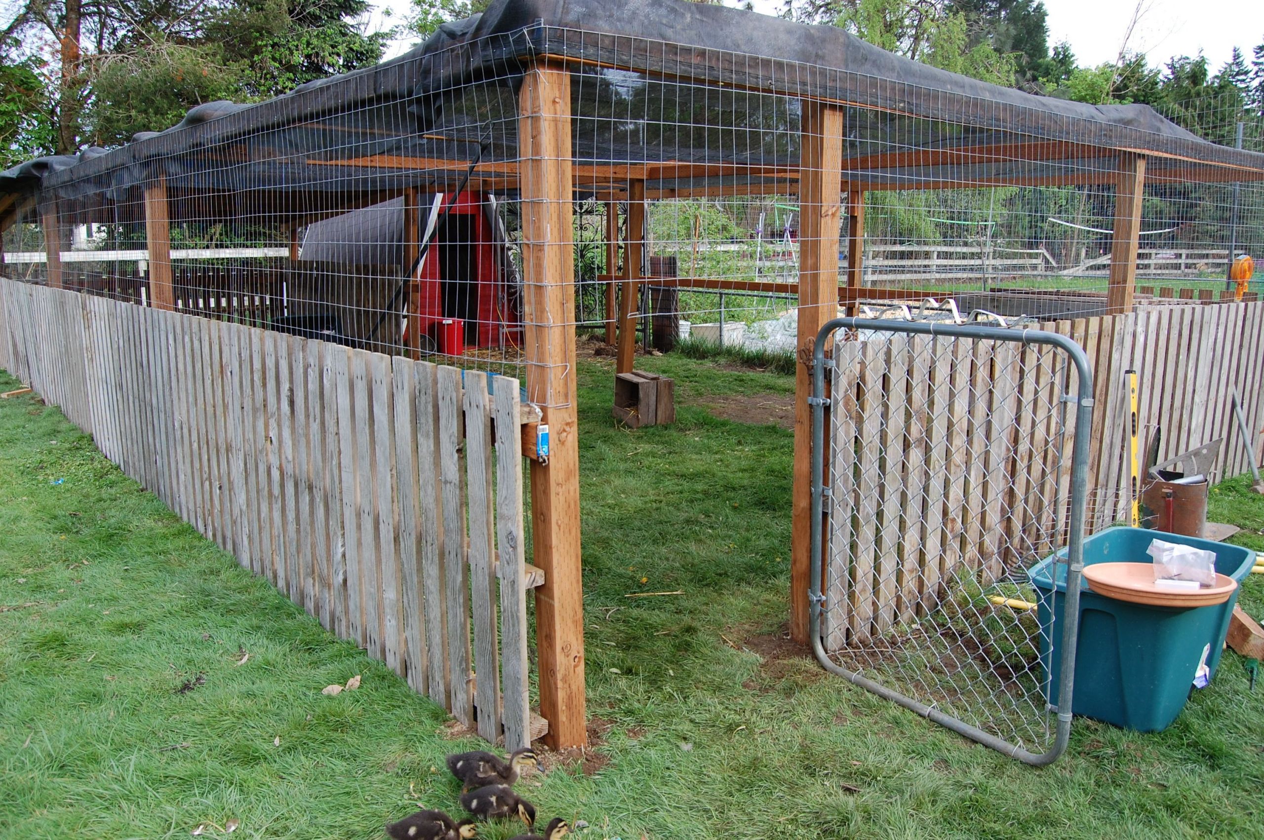 Sheep Shelter Diy Farm Animals