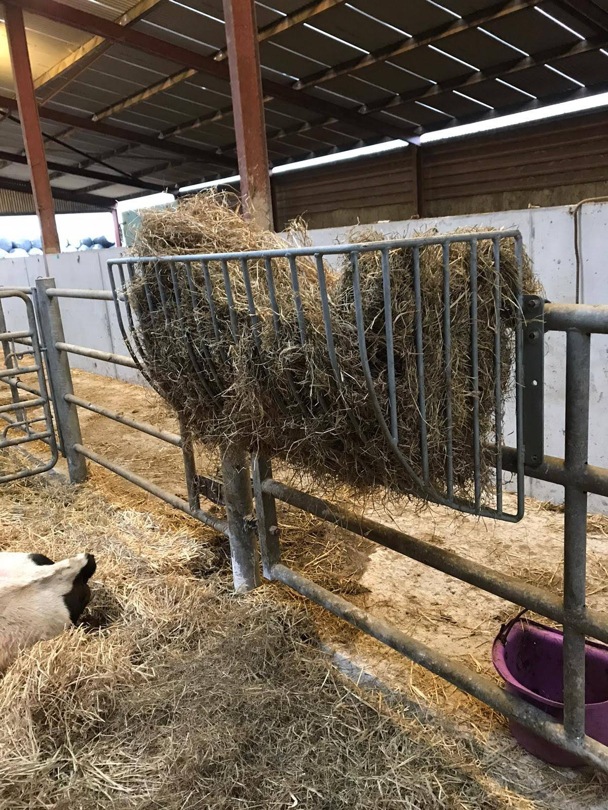 Diy Hay Rack Quails - Horse feeder made from old pallets ...