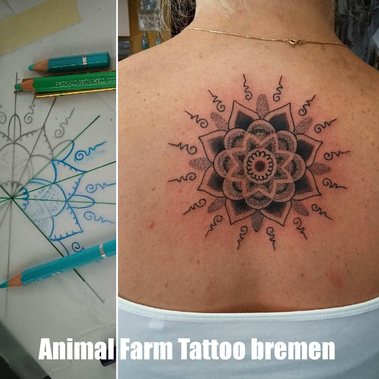 mandala tattoo rücken tattoo blackwork tattoo studio bremen