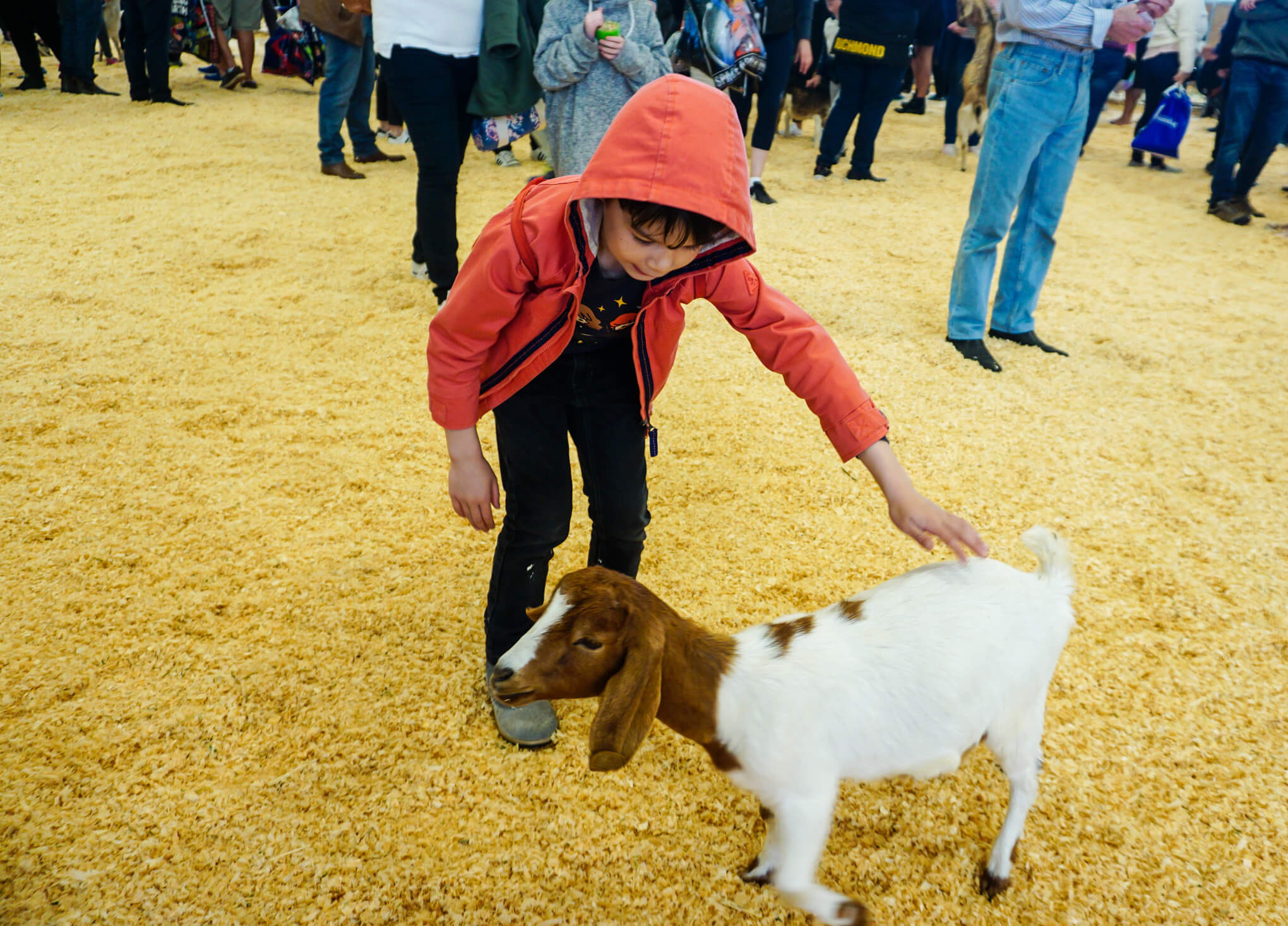 Tot School Farm Animals