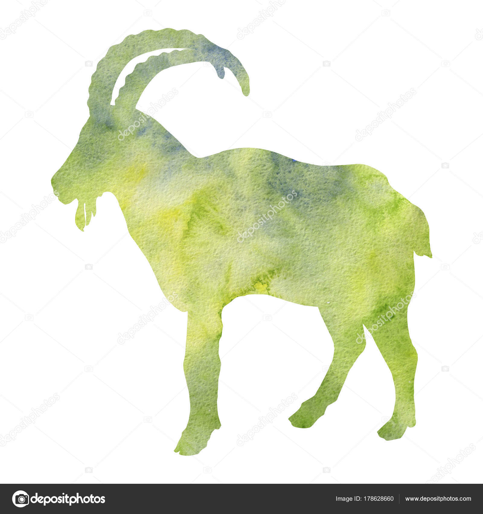 depositphotos stock photo watercolor silhouette of ram