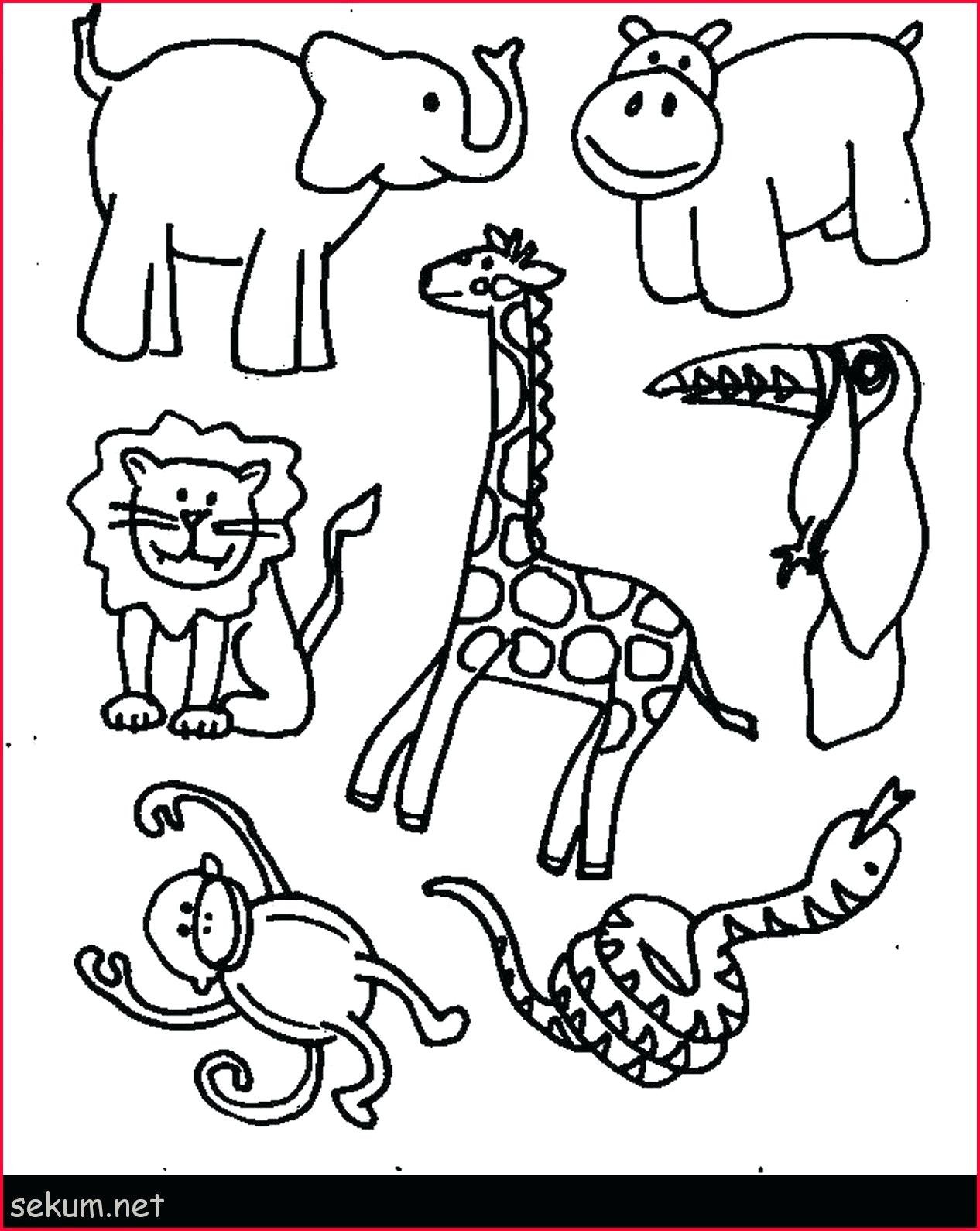 Wild Animals Worksheets for Kindergarten