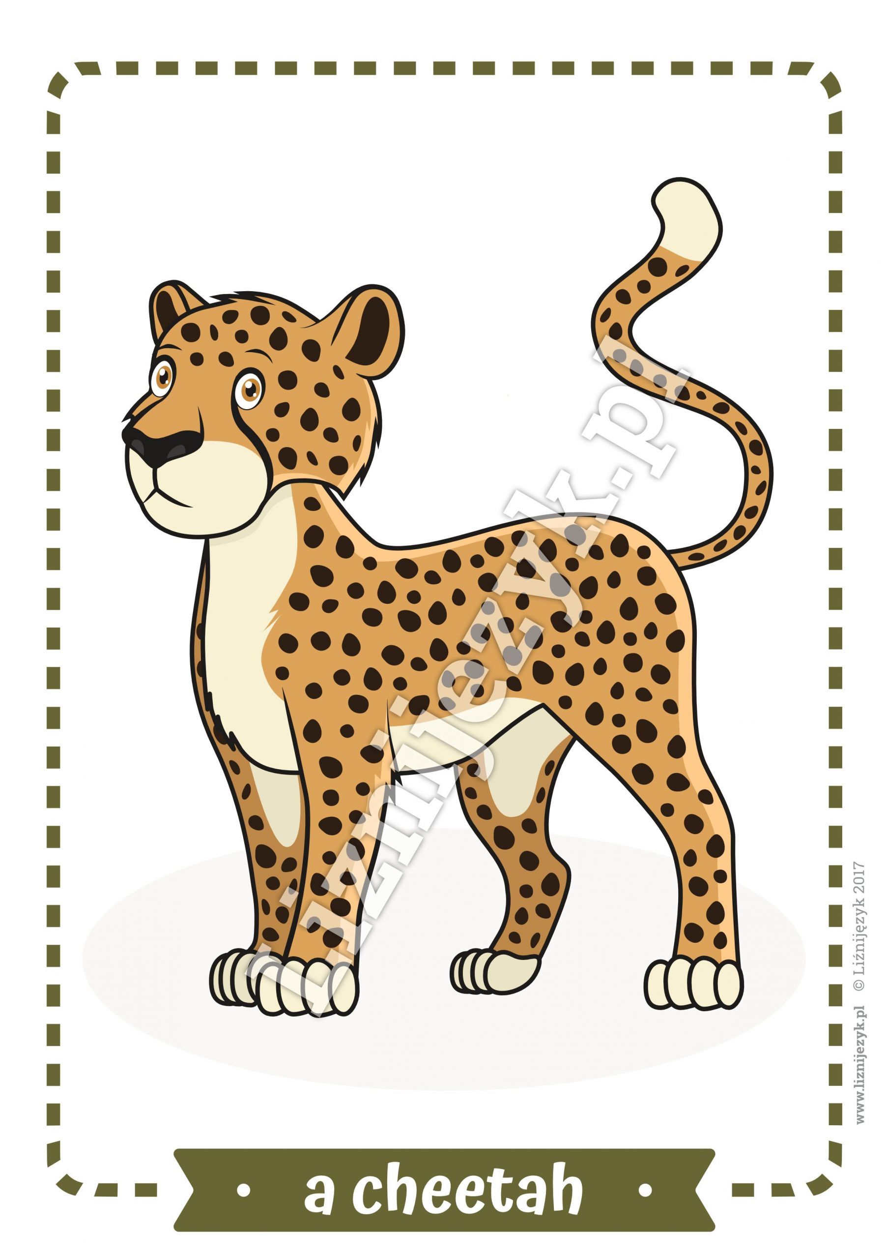 Wild Animals Worksheets Printables