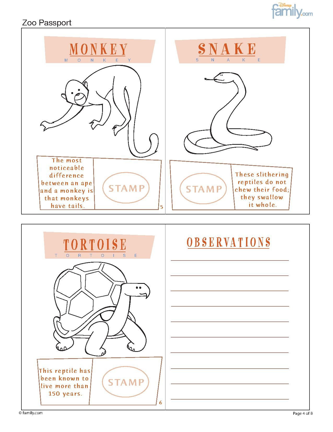 Zoo Animals Worksheets Student